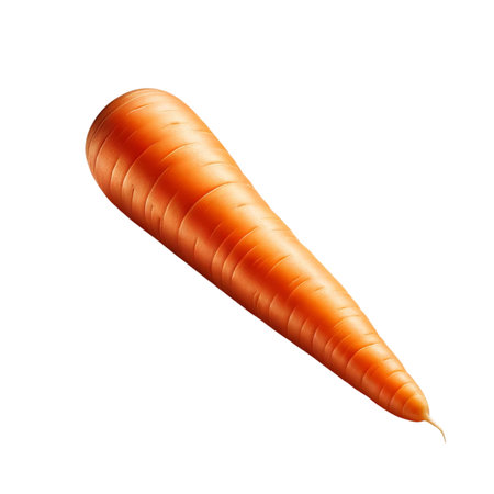 Carrot isolated on white background. Vector illustration. Eps 10.の素材
