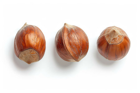 Three hazelnuts isolated on a white background. Top view.の素材