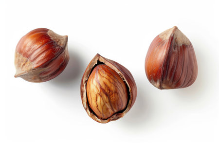 Hazelnuts isolated on white background. Top view. Flat lay.の素材