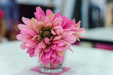 Pink flowers in a glass jar on the table.の写真素材