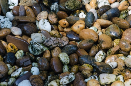 Small stones put together in many pieces.の写真素材