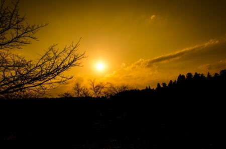 Pictures from the evening was photos silhouette.の写真素材
