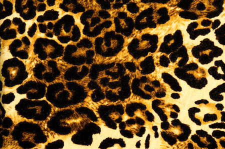 Modern stylish texture. The tiger cotton chintz.