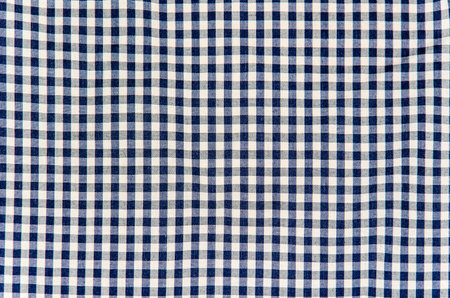 Blue and white scott fabric close up texture 