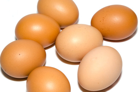 Eggs place the Isolated from the white background.