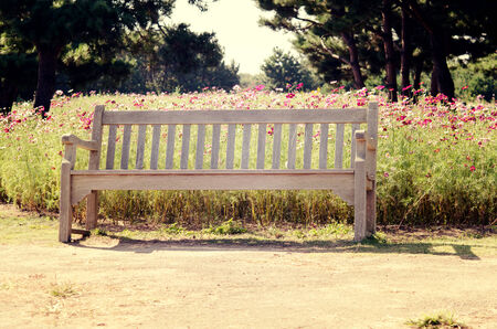 wooden chairs placed in the garden.の写真素材