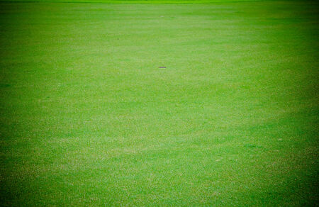 Golf hole on the green grass.の写真素材