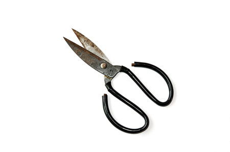 scissors isolated on the white backgroundの写真素材