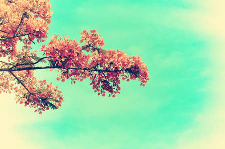 red flowers vintage on green textured.の写真素材