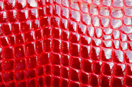 Abstract red alligator patterned backgroundの写真素材