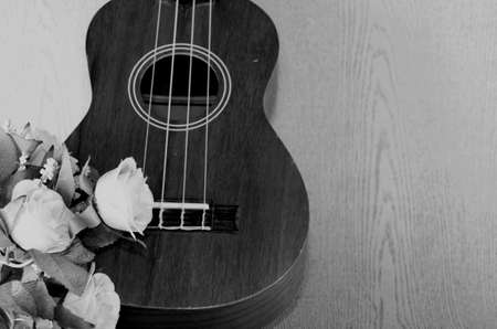 A white rose on ukulele. black and white photographyの写真素材
