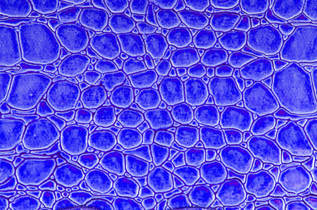 Abstract blue alligator patterned background