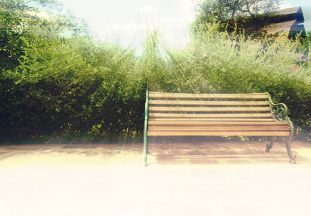 chairs in the garden. A vintage photoの写真素材