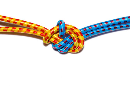 Elastic straps rope Tied a knot isolated on the white.の写真素材