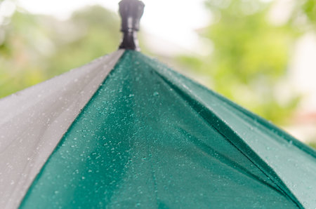 Rain drops falling from a green umbrella