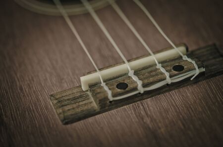 Ukulele fretboard, part of ukulele hawaiian guitarの写真素材