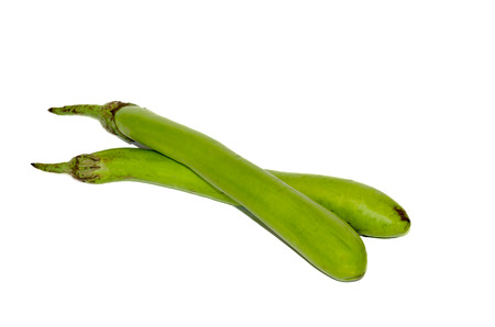 Eggplant green isolated on the whiteの写真素材