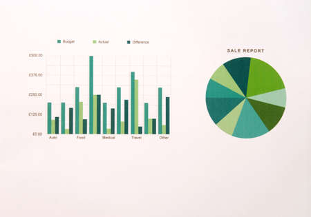 Business paperwork present with diagram.の写真素材