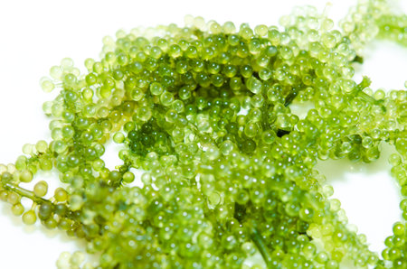 Seaweed ,  Oval sea grapes seaweed. Healthy Food.