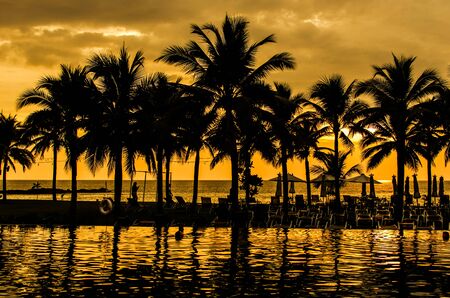 Palm trees silhouettes on tropical beach at summerの写真素材