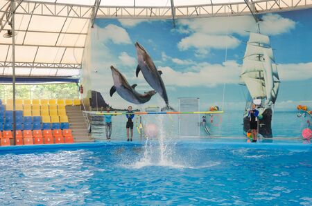 PHUKET ,THAILAND - 2 JULY 2016 :  Dolphins Bay dolphin show in Phuket.のeditorial素材