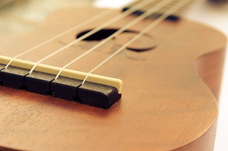 ukulele guitar on white background.の写真素材