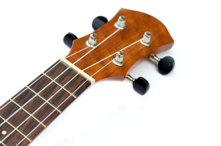ukulele guitar on white background.の写真素材