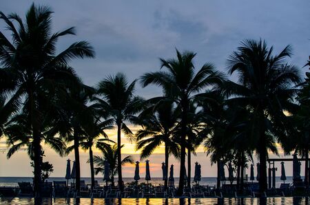 silhouette coconut palm trees at sunset. Vintage toneの写真素材