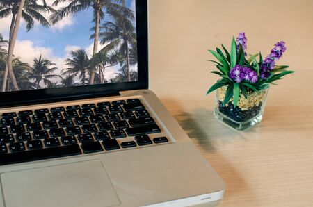 Laptops and flowers on desk.displaying a beautiful landscape of a plam tree の写真素材