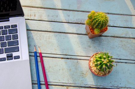 Computer and Cactus and pencil on Blue Wood Tableの写真素材