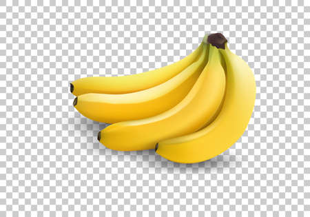 realistic illustration bananas, 3d vector icons. Banana isolated on white background, banana icon. Vector illustration.のイラスト素材