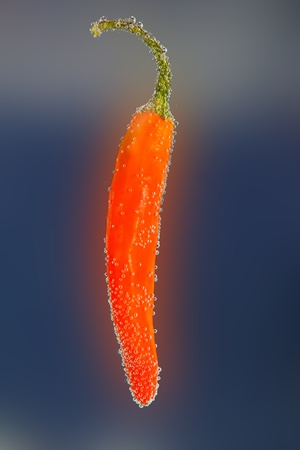 Orange chilli with bubbles on blurry blue backgroundの写真素材
