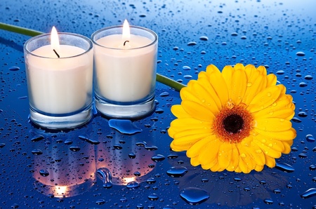Wet, yellow flower by candle light with reflection on blue surfaceの写真素材