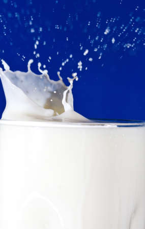 Milk splash in glass on a blue background dropの写真素材