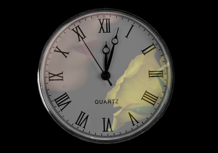 Pocket watch with nose smelling yellow rose soft light