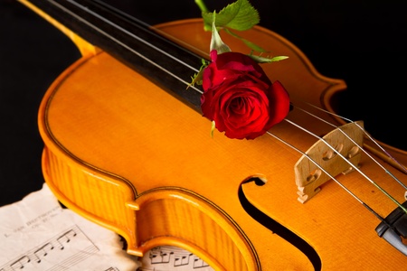 Violin sheet music and rose black composition still life musicの写真素材