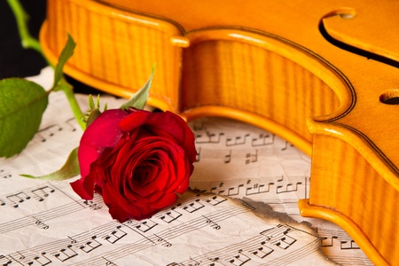 Violin sheet music and rose black composition still life musicの写真素材