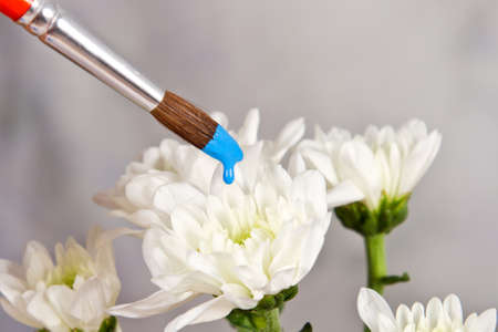 Hand paint white flower blue with brush realの写真素材