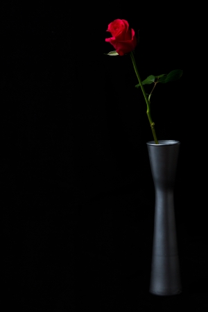 Red flower in silver vase on black backgroundの写真素材