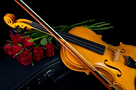 Violin on carry red case with with red rosesの写真素材