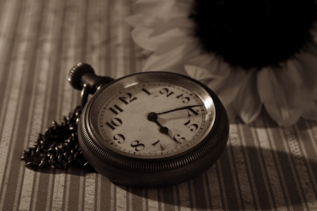 Pocket watch and sunflower duotone on paper texture side lightの写真素材
