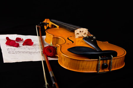 Violin sheet music and rose black composition still life musicの写真素材