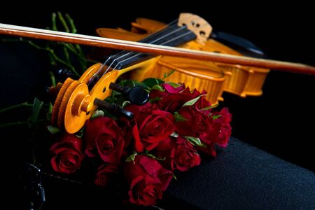 Violin on carry red case with with red rosesの写真素材