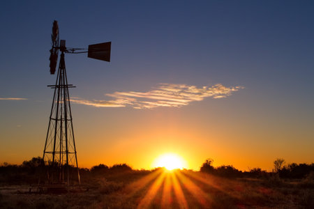 Lovely sunset in Kalahari with windmill grass and bright colours