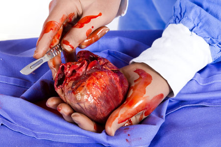 Doctor operating on patient heart in blue with tools