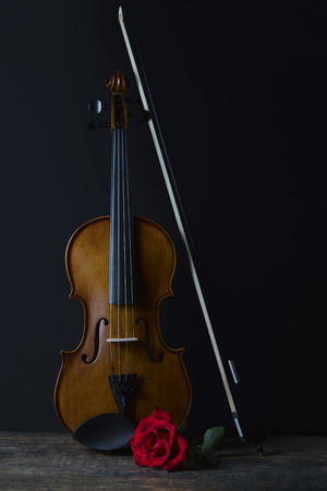 Low key violin and rose flower with soft lightingの写真素材