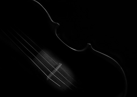 Violin black and white artistic conversion with rim lightingの写真素材