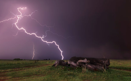 Landscape with lightning striking behind a dead tree trunk