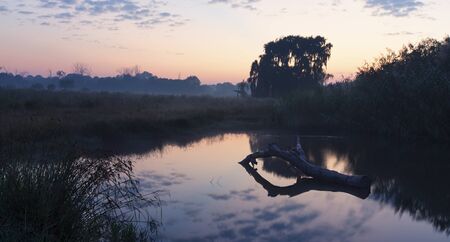 Tranquil landscape of sunset over a dam with a tree stumpの写真素材