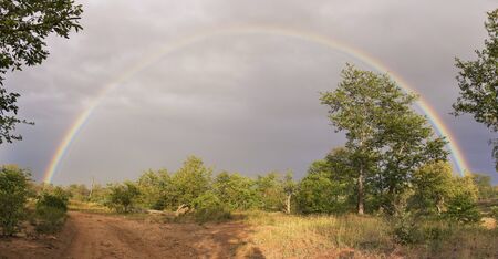 Complete rainbow in the bush after a rain storm passedの写真素材